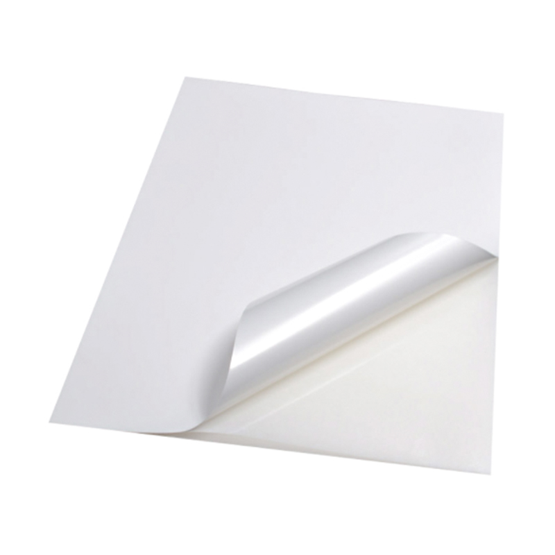 Matt vitt syntetiskt PP självhäftande papper